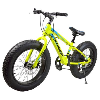 China 2021 Street Hebei factory directly sell new style snow bike fat tire fat bike fat bike for sale