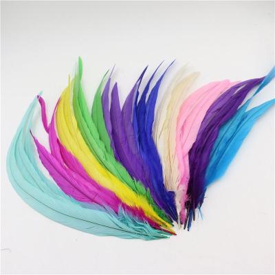 China Bleached and dyed tail rooster festival decoration feathers for carnival costume for sale