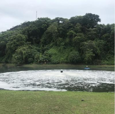 China TSR-Hochgeschwindigkeits-Flächenluftbefeuchter zur Klärung von Abwasser zu verkaufen