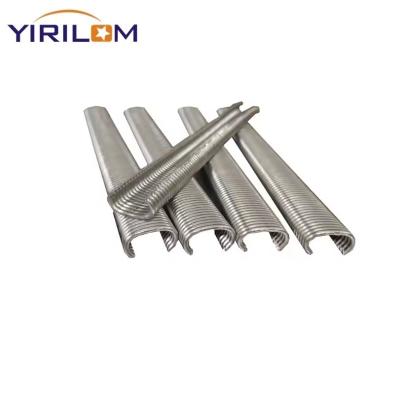 China C Type Rings Nails Staple Galvanized Hog Ring - Hog Ring, Nails for sale