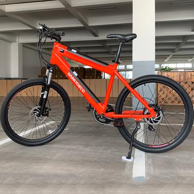 China Mauntain Electric Bike E Bike Electric Bicycle Ebike Mountain Bike for sale