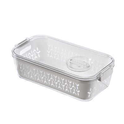 China Sustainable Multifunction Kitchen Refrigerator Plastic Fresh-Keeping Storage Box for sale