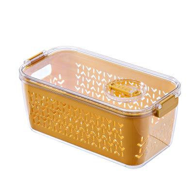 China Viable Independent Home Kitchen Refrigerator Environmental Protection Design Plastic Food Storage Boxes for sale