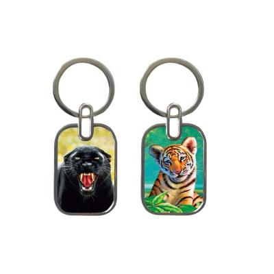 China Gift Customize 3D metal key chain double side anime lenticular printed main chain for promotion for sale