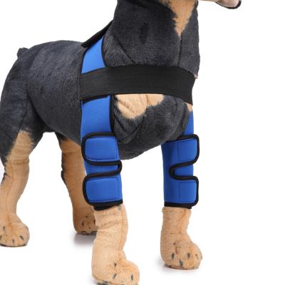 China Ebay Amazon Hot Selling Viable Pet Knee Protector Recovery Pads, Neoprene Dog Leg Brace, Recover Pet From Injury for sale