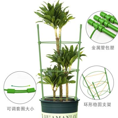 China Flower idyllic fixed chamfer floor trellis balcony green radish trellis combination indoor trellis for sale