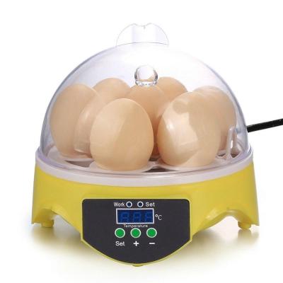 China Hobby Use TQG Home Egg Incubator 7 Small Automatic Incubator Egg Hatching Machine Price for sale