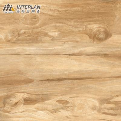 China Extremely high quality thin matt thin tile 600x1200mm floor tiles and building material for sale