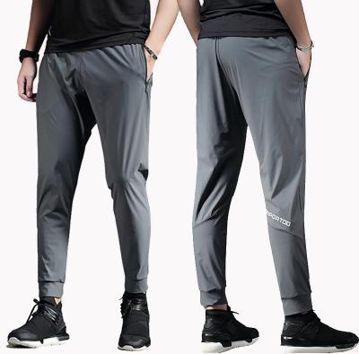 China Anti-wrinkle Hot New Products And Cost Effective Smooth And Breathable Sports Man's Pants for sale