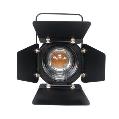 China Mini LED Manual Alloy 100W Zoom LED Fresnel Spot Aluminum Video Light for sale