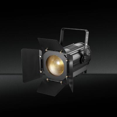 China Warm White Alloy 300W LED Video Fresnel Spot Aluminum Light for sale