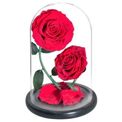 China Valentine's Day Reasonable Price Advanced Technology Preserved 2 Rose In Dome Glass Deco for sale