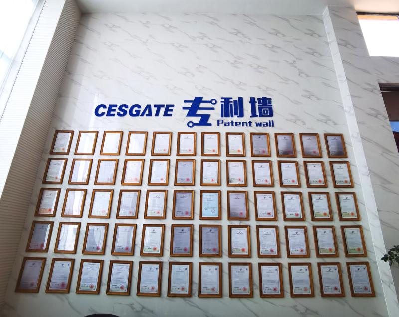 Fornecedor verificado da China - Chengdu Cesgate Technology Co., Ltd