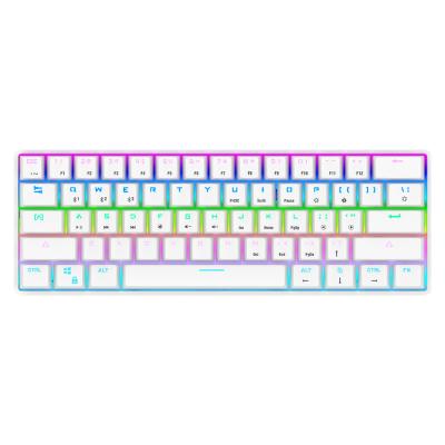 China Black Anti-Ghosting Stardigital 61 Keys Switch 16 Million Colors RGB N-Key Rollover Win/MaOS/Lin Mechanical Keyboard for sale