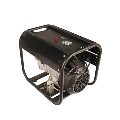 China Long Life GP 220V 4500psi 300bar High Pressure Pump PCP Air Compressor For Air Rifles for sale