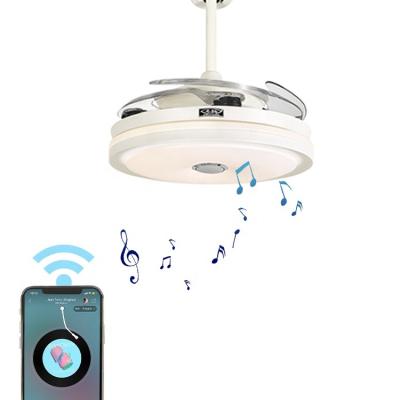 China 2021 designer ac motor sound decoration remote control led ceiling fan with light à venda