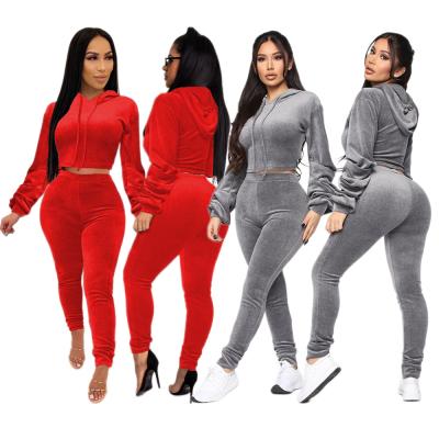 China Autumn Tracksuit Women Two Pieces Velvet Set QUICK DRY Hoodie Top Matching Pants 2 Pieces Set Women Outfits for sale