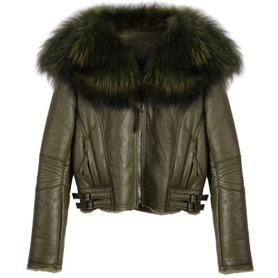 China High Quality Breathable Natural Shearling Collar Raccoon Fur Jacket Women Real Leather Jacket For Ladies for sale