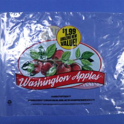 China High Quality Security Custom Apple Bag Apple Retail PP Bag Plastic Fruit Ziplock Bag for sale