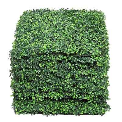 China 2021 Eco-friendly High Quality Artificial Hedge Boxwood Panels Artificial Fern Plants Wall Decoration 50cmx50cm for sale