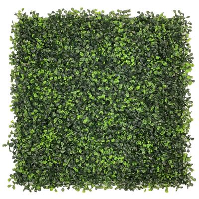 China Eco-friendly Anti--UV Artificial Boxwood Hedge Panel Vertical Grass Wall Grass Garden Plant Decor for sale