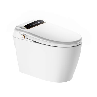 China Remote Control One Piece Automatic Flush Floor Siphon Concealed Smart Toilet for sale