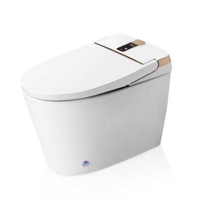 China Ceramic Floor Siphonic Hidden Cistern Concealed Cistern Remote Controller LED Display Smart Toilet for sale