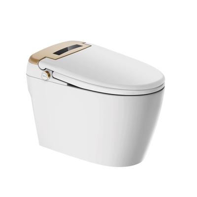 China One Piece High Quality Ceramic Concealed Hidden SPA Jet Adjustable Possion Cistern Siphon Self Cleaning Soft Narrow Toilet Spout Floor Mounted Lid Modern for sale