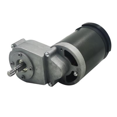 China Lanshan Factory Price 220V 150W 50rpm OEM DC Gear Totally Enclosed Motor For Slow Juicer for sale