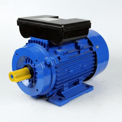 China Longbank YL Series 0.37~5.5KW 0.5~7.5HP 220V Single Phase Dual Induction AC Asynchronous Motor Totally Enclosed for sale