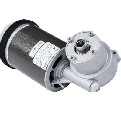 China Manufacture A01 totally enclosed lanhan dc gear motor single phase dc electric motor for pasta maker juicer slow dc worm gear motor for sale