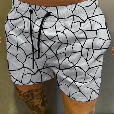 China 2022 Viable Custom Logo Polyester Beach Shorts Shorts Mens Surfing Board Swimwear Swimwear Beach Shorts Mens Swimwear Shorts for sale