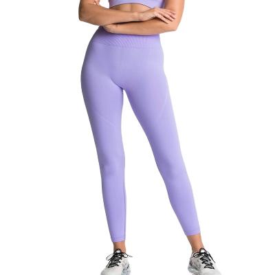 China High Quality Breathable Gaiters Sporty Legging Solid Color Yoga Fashion High Waist Tight Yoga Seamless Breathable Legging for sale