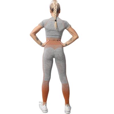 China Breathable Yoga Wear Set 2021 Lady Lose Weight Fitness & Seamless Yoga Wear Short Sleeves Wholesale Yoga Set Sports Wear For Women for sale