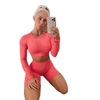 China Breathable High Elastic Seamless Yoga Shorts Active Wear Yoga Wear Sports Clothing Set Working To Wear 2 Pieces for sale