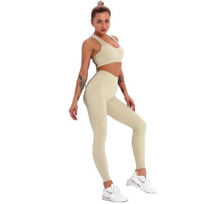 China Various Features Yoga Gym Wear Set Breathable Sport Wear Seamless Logo Active Wear 2 Pieces for sale