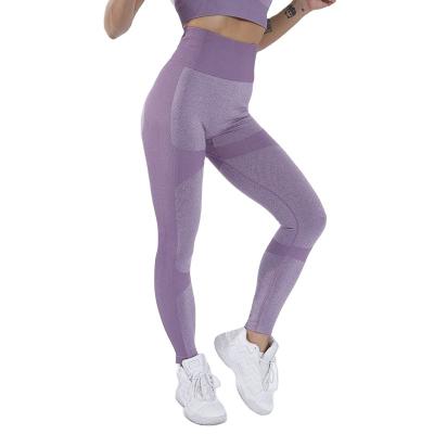 China Seamless Breathable Fitness High Waisted Leggings For Women for sale