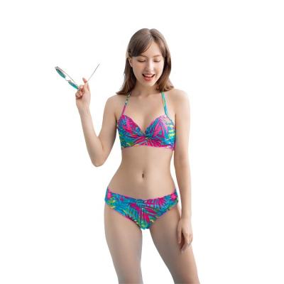 China Breathable Most Popular Swimwear Luxury Ladies Beach Sexy Bikini Swimwear for sale