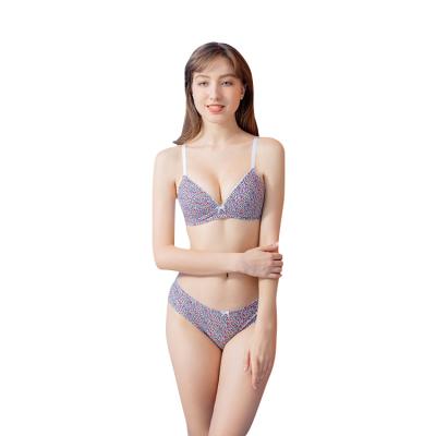 China Fashion Print Antibacterial High Quality Ladies Padded Bra And Panty Underwear Set for sale