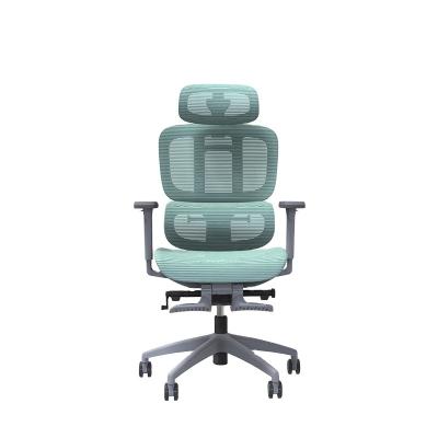 China Wholesale High Quality Adjustable Segmented Adjustable (Height) Back And Headergonom Office Mesh Chair for sale