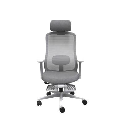 China Adjustable (Height) Customized New Full Mesh Fabric Ergonomic Office Chair Designed For Company Staff for sale