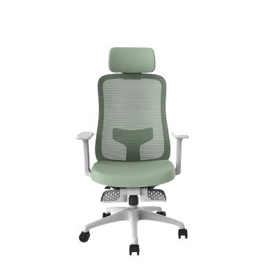 China Ergonomic Office Chair Mesh Fabric (Height) Adjustable Cheap Green Ruibao New High Back For Company for sale