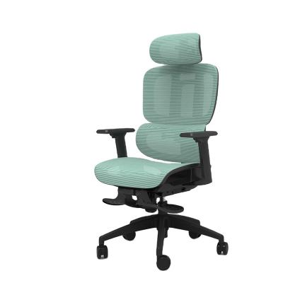 China Adjustable (Height) Direct Shipping From Anji Factory And Can Be Ergonomic Full Mesh Chair Customized Mesh Chair for sale