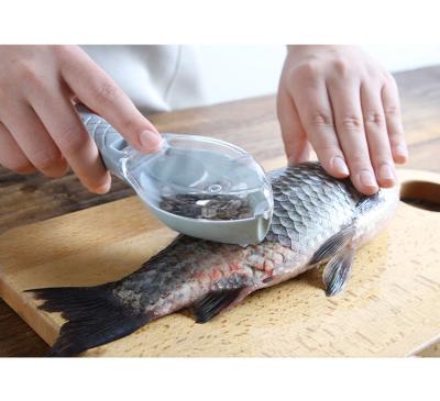 China Viable Fish Scale Scraper With Cover Kitchen Scale Planer Scraper Manual Measuring Tool for sale