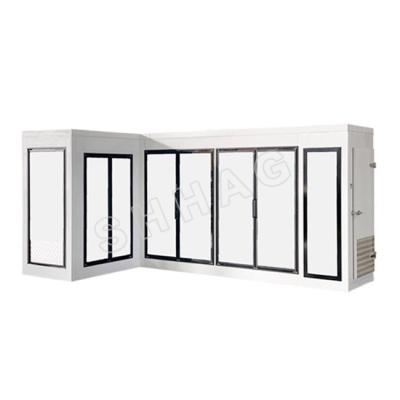 China Cooler/Freezer Walk In Door Display Cold Room Glass Door Glass Walk In Coolers Walk In Cold Room/Freezer Glass Door for sale