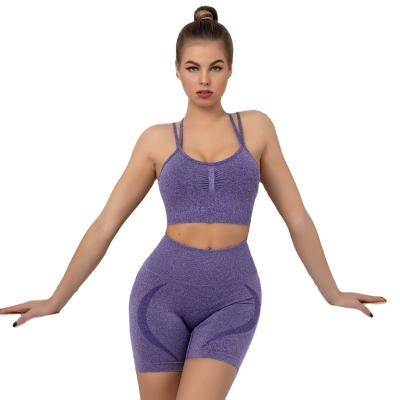 China New Breathable Seamless Fitness Workout Apparel Sports Gym Yoga Sets Yoga Wear Sports Clothing Set for sale