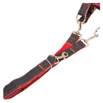 China Wholesale Viable Double Head Dog Leash Wear Resistant Nylon Dog Leash for sale