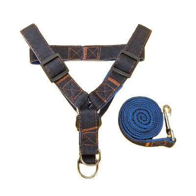 China Good Quality Durable Pet Harness Leash Chest Strap Adjustable Pet Leash for sale