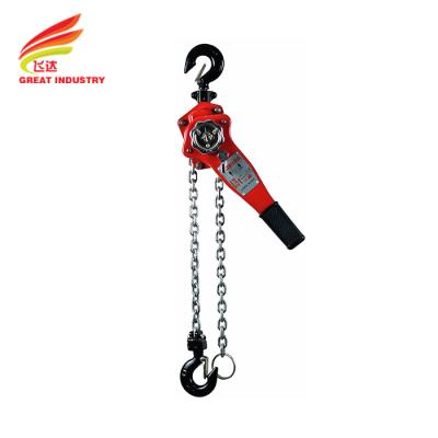 China Hotels 1 Year Warranty Sling Wire Rope Type - 1 - 10 Ton Electric Chain Hoist for sale