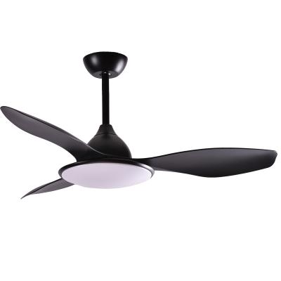 China Modern Custom Natural Decorative Decorative Low Noise Logo Fan Light Wind Dining Room Ceiling Fan Light for sale